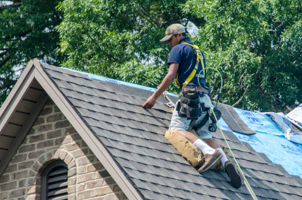 Best Storm Damage Roof Repair  in Kenilworth, PA